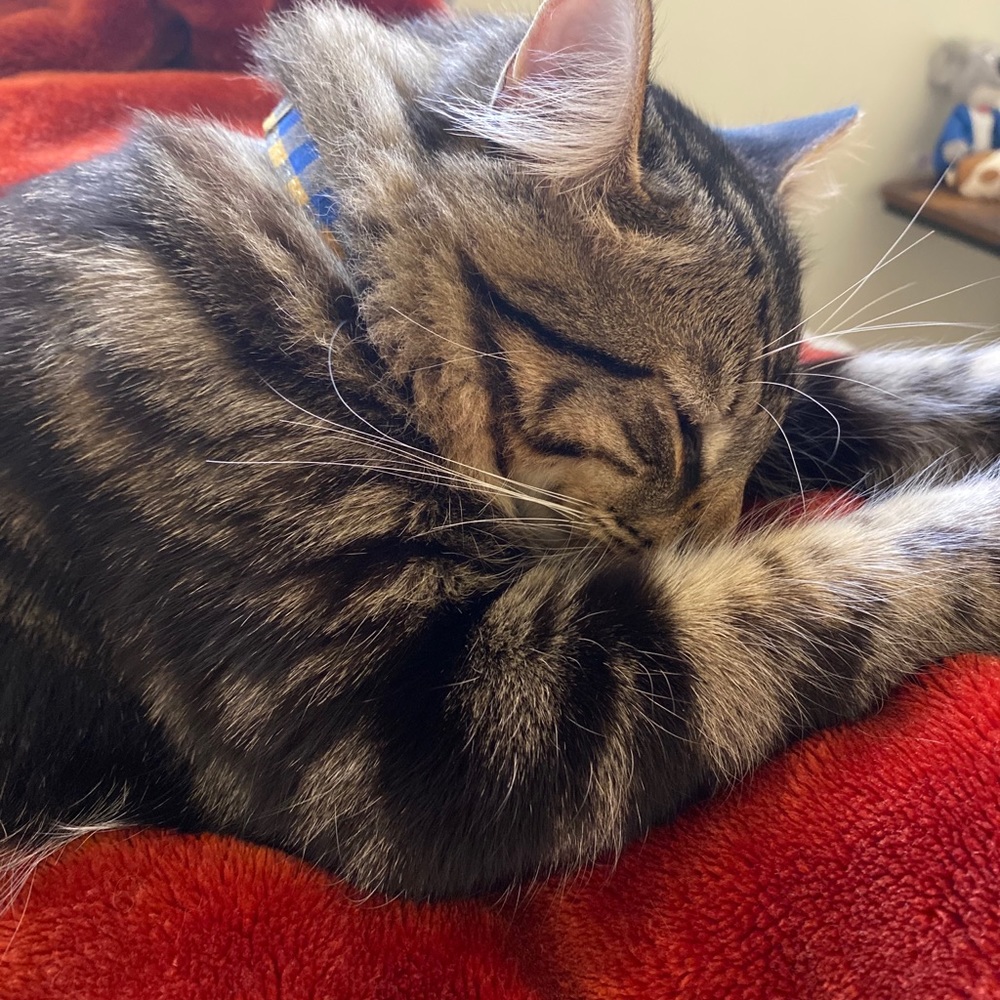 Meet your Posher, Gabriela